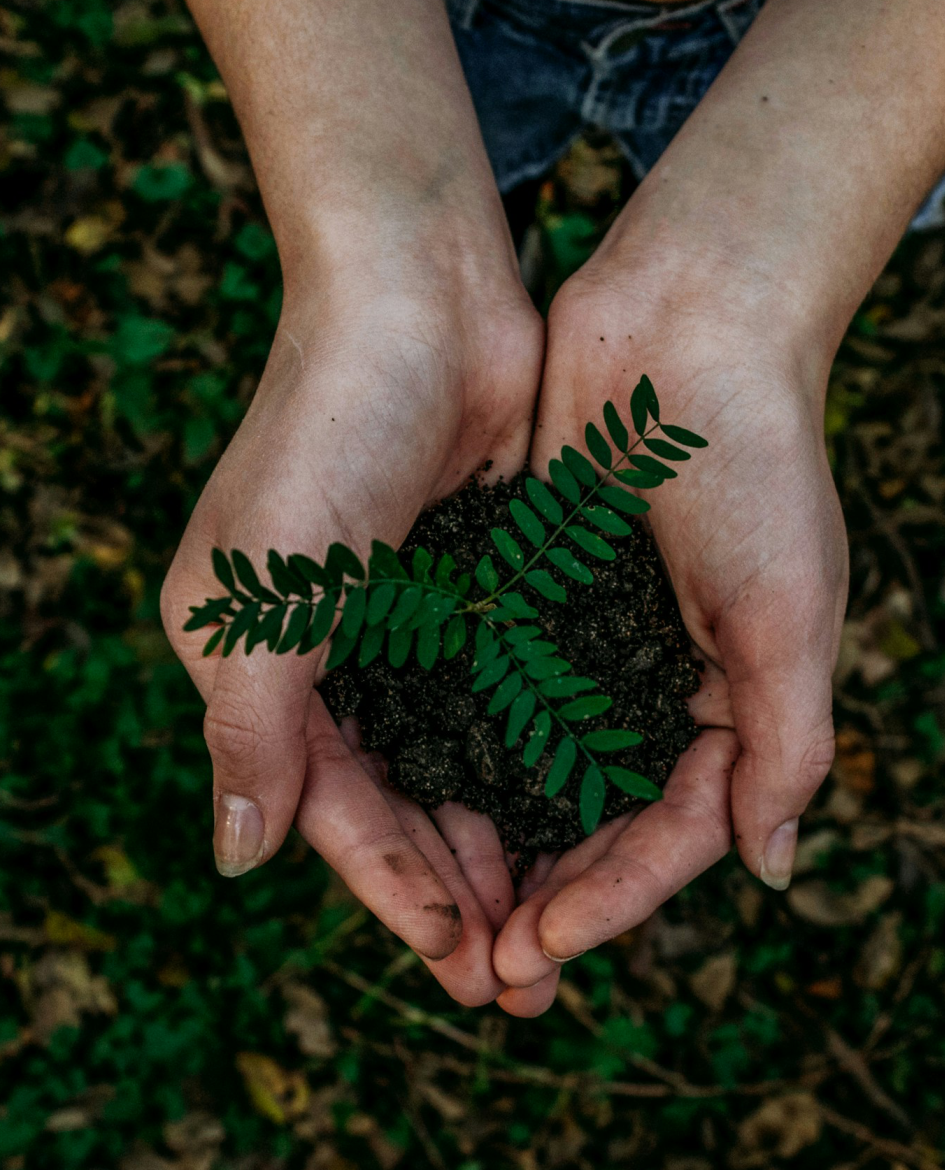 Profesional de SUAN en campo realizando trabajo ambiental